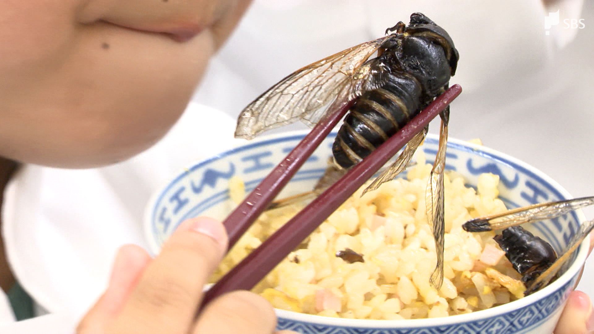 再）【昆虫食】セミの素揚げ、どんな味？　浜松で昆虫食体験会　魅力や栄養素の解説も